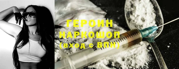 молекула духа Снежногорск