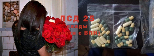 мдпв Богородицк
