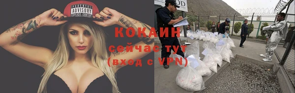 СК Богородск