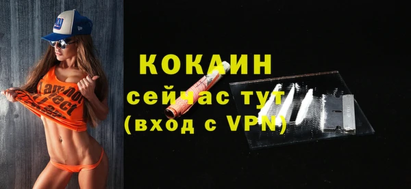 мдпв Богородицк
