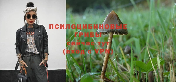 таблы Богданович